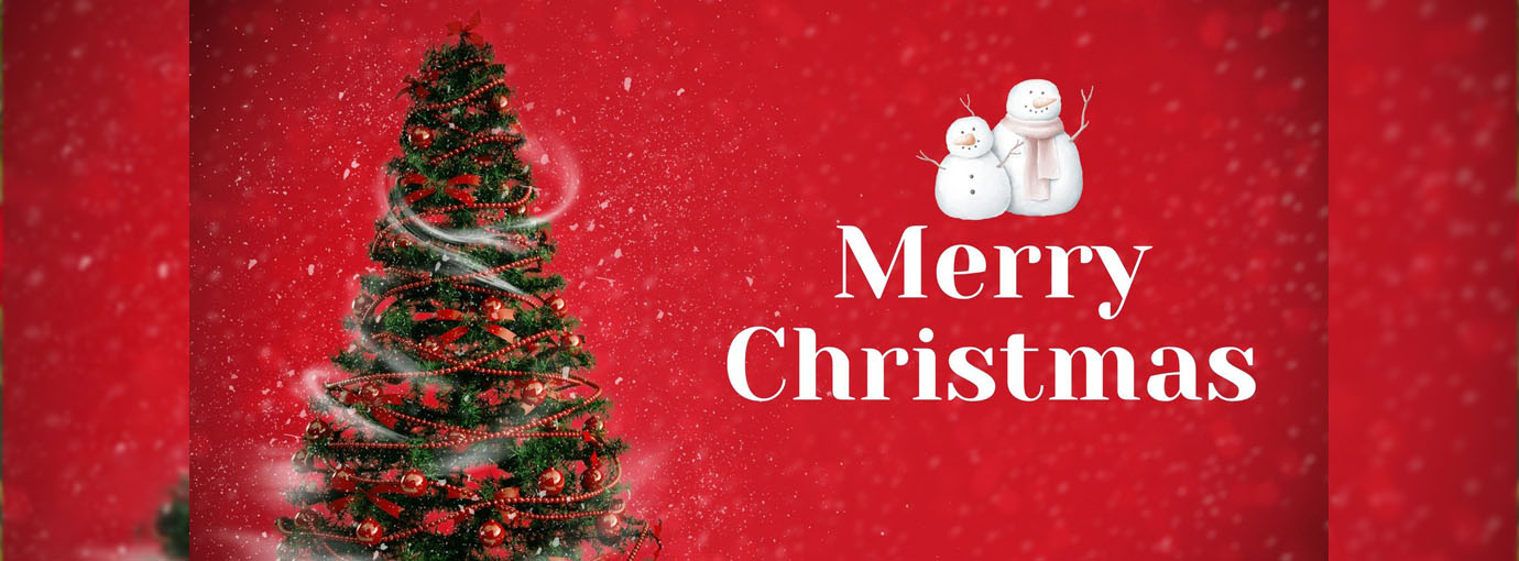 Friboo comercio 9 Friboo comercio -Friboo comercio 154